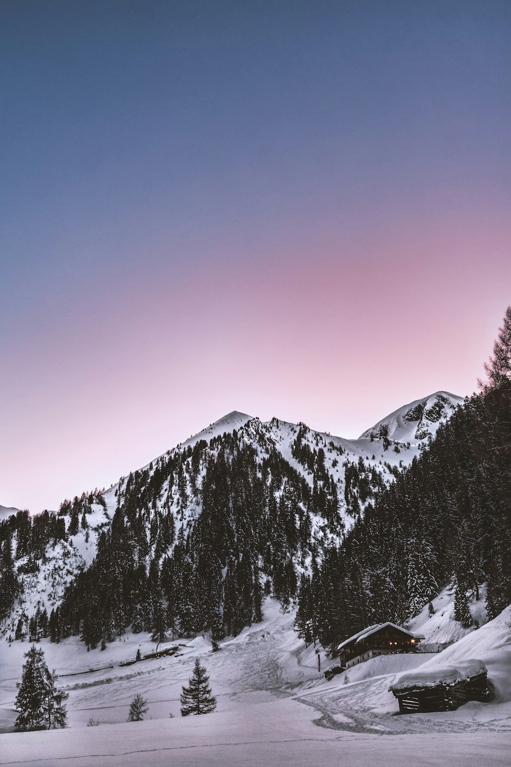 house near mountain covered by snow and pine trees