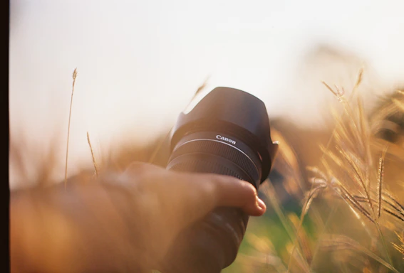 A candid photo of a photographer capturing a sun-drenched moment between a couple in a golden field.
