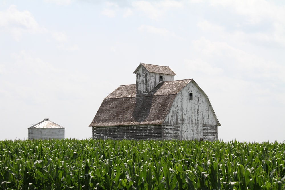 brown barn house