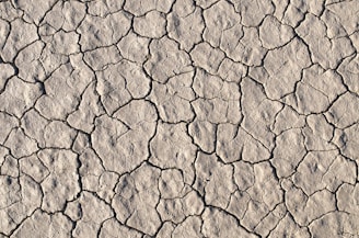 dried up soil