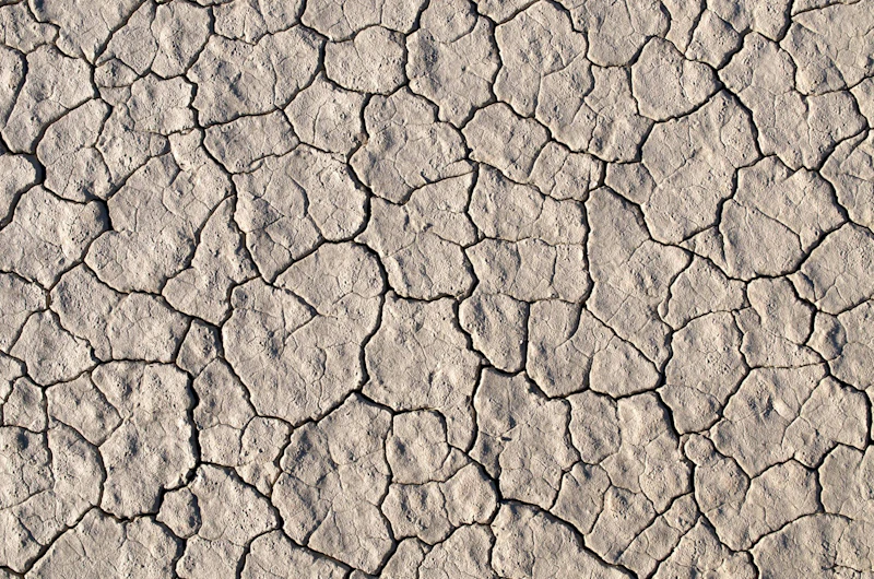 Pale, dry earth with fine cracks