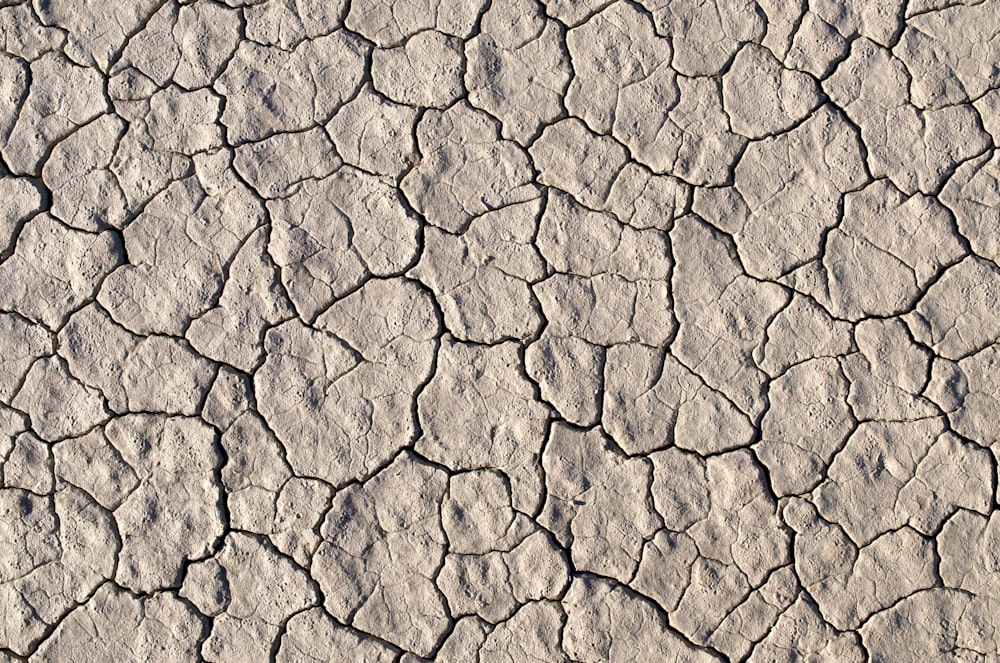 dried up soil