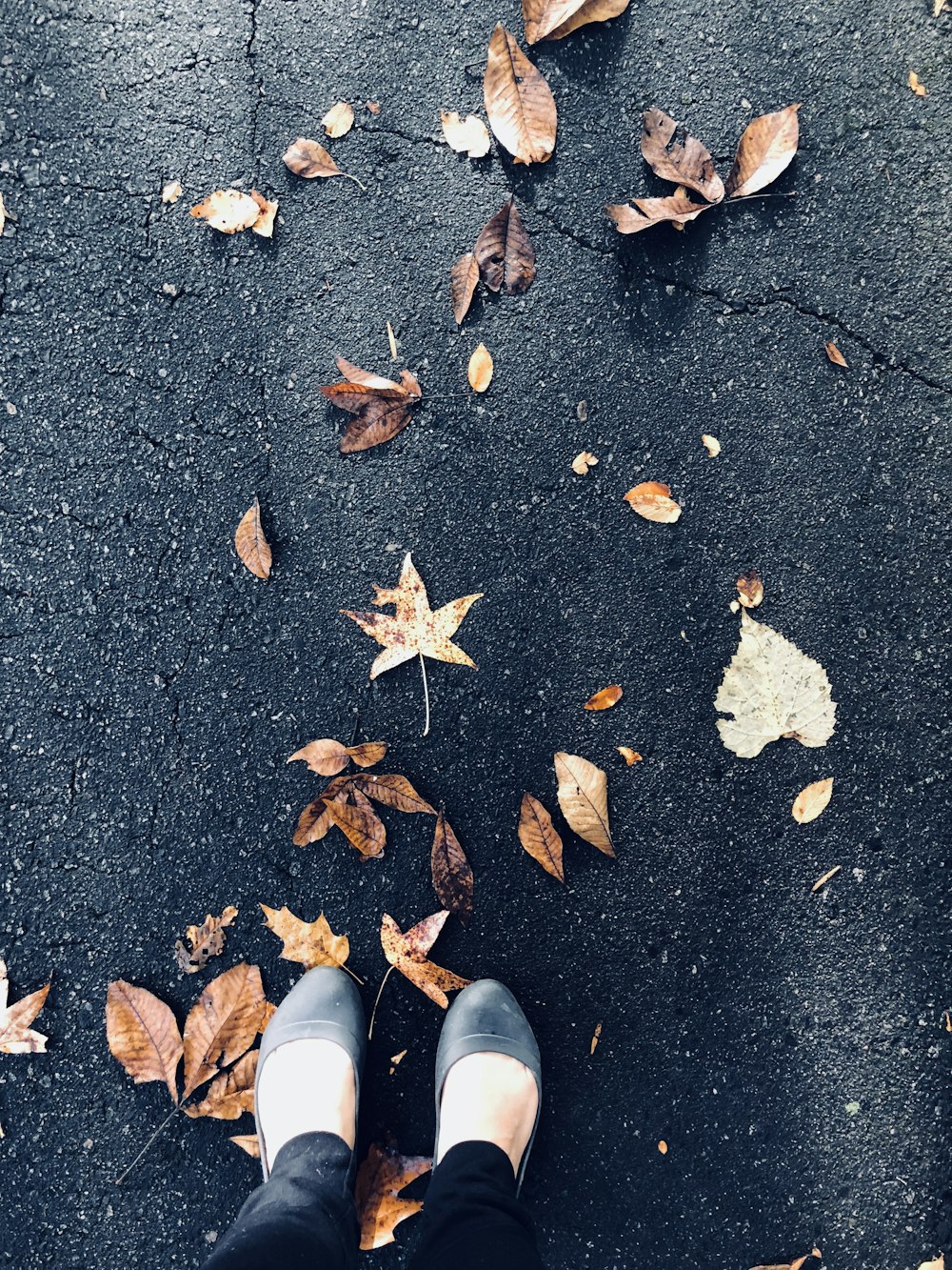 枯れた葉の近くの舗道に立つ黒い革のフラットを着た女性