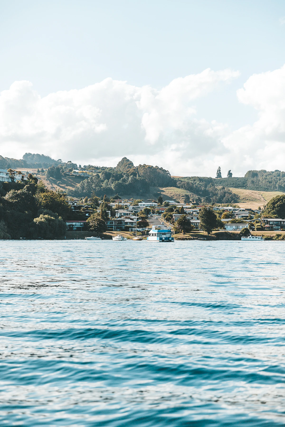 Scenic New Zealand accommodation location