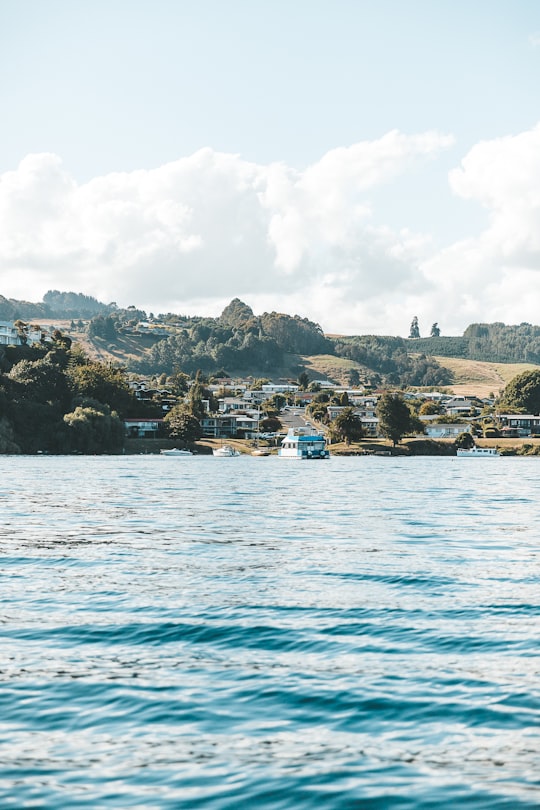 houses on mountain slope near body of water in Acacia Bay New Zealand