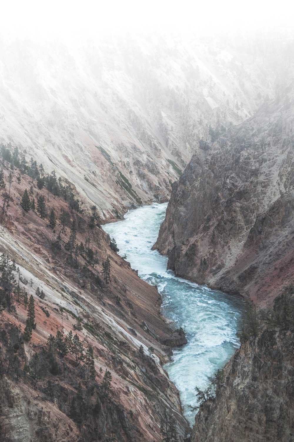 body of water in between mountains with trees