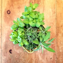 A collection of fresh herbs including mint, basil, thyme, rosemary, and sage arranged in a wooden basket on a rustic wooden surface. The bright green leaves are vibrant and lush, contrasting with the warm tones of the wood.