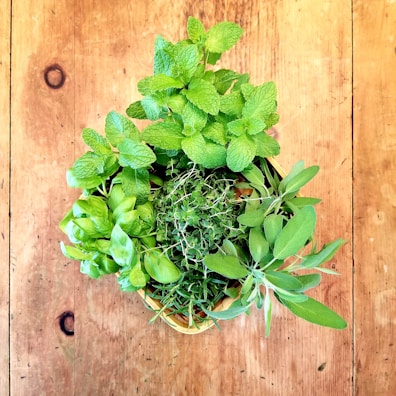A collection of fresh herbs including mint, basil, thyme, rosemary, and sage arranged in a wooden basket on a rustic wooden surface. The bright green leaves are vibrant and lush, contrasting with the warm tones of the wood.