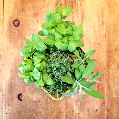 Close-up of fresh green herbs spilling from a rustic wooden basket on a natural linen cloth.