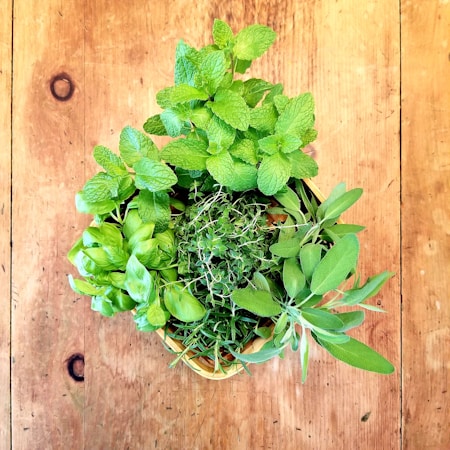 A collection of fresh herbs including mint, basil, thyme, rosemary, and sage arranged in a wooden basket on a rustic wooden surface. The bright green leaves are vibrant and lush, contrasting with the warm tones of the wood.