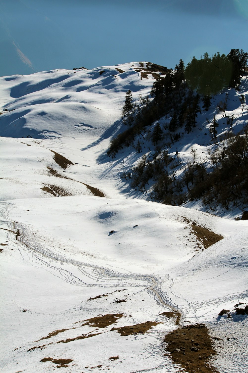 mountain filled with snow and surrounded with trees