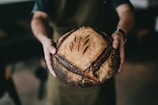 person holding toasted bread