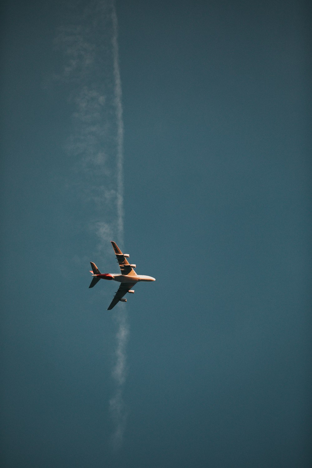Foto de ángulo bajo de un avión blanco