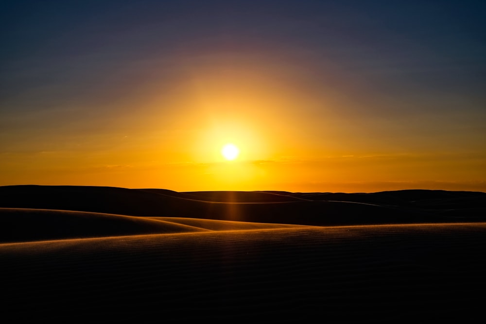 desert during golden hour