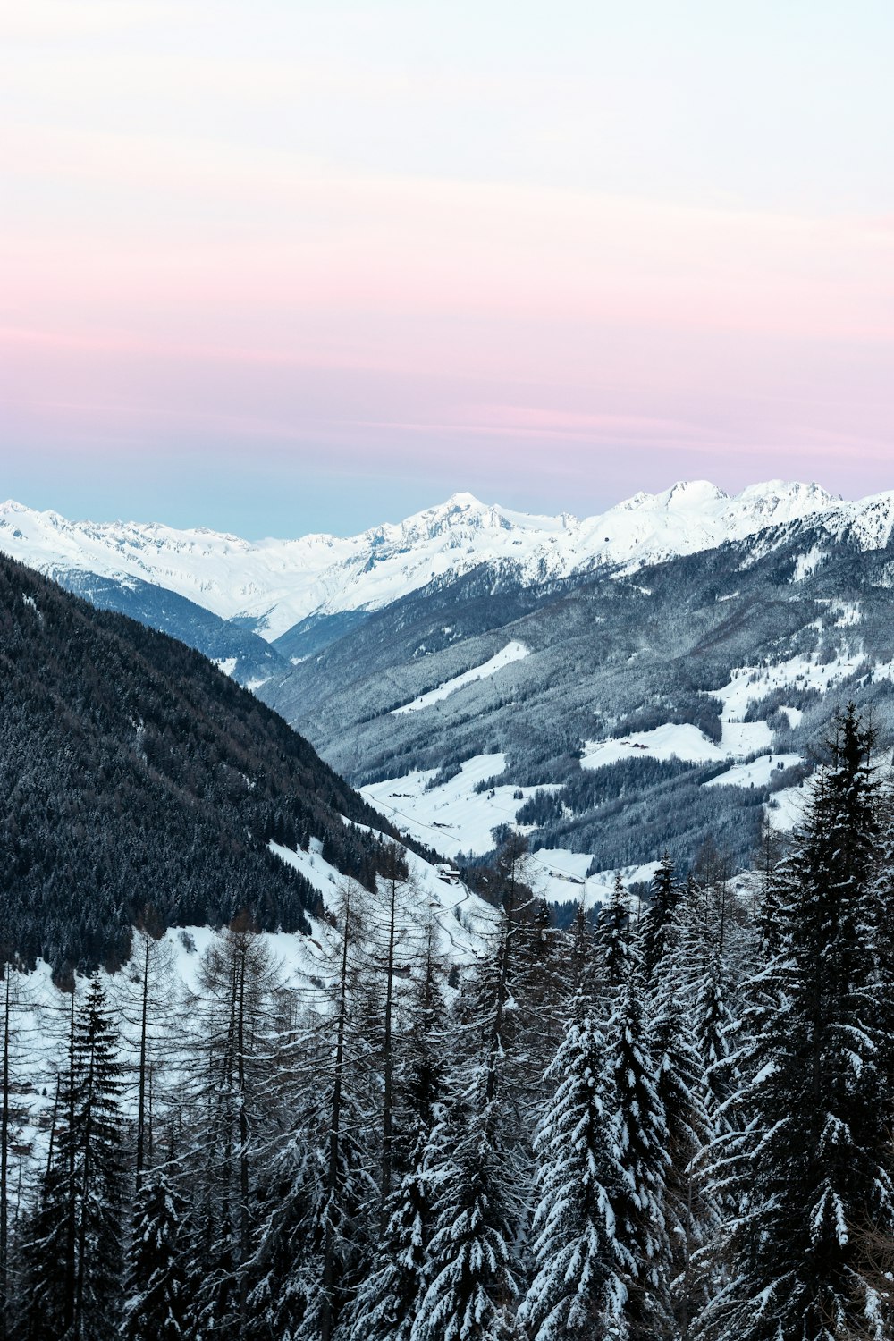 Fotografie aus der Vogelperspektive von schneebedeckten Bergen in der Nähe von Kiefern