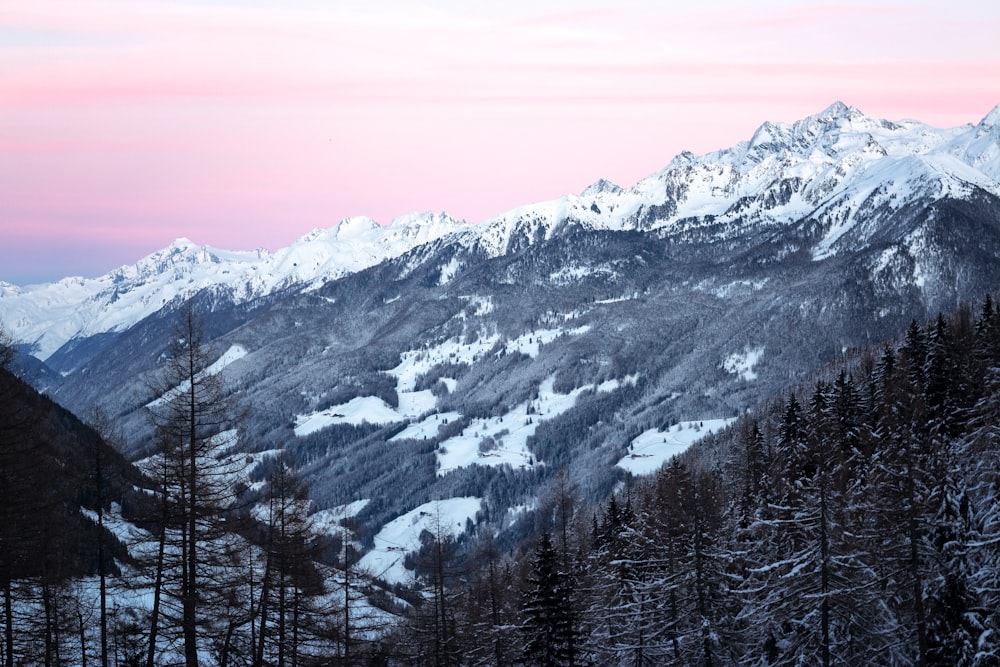 snow covered valley