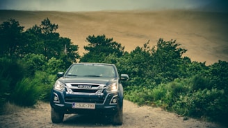 An Isuzu truck is parked on a sandy path surrounded by lush green foliage and trees. The sky appears cloudy and overcast, and in the background, there is a large sand dune.