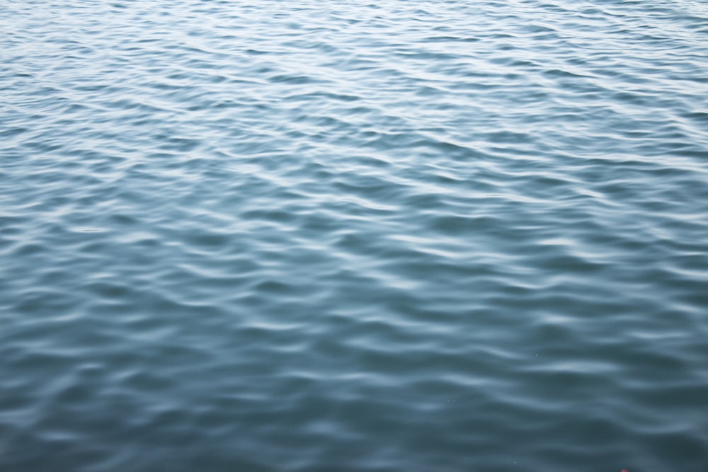 specchio d'acqua durante il giorno