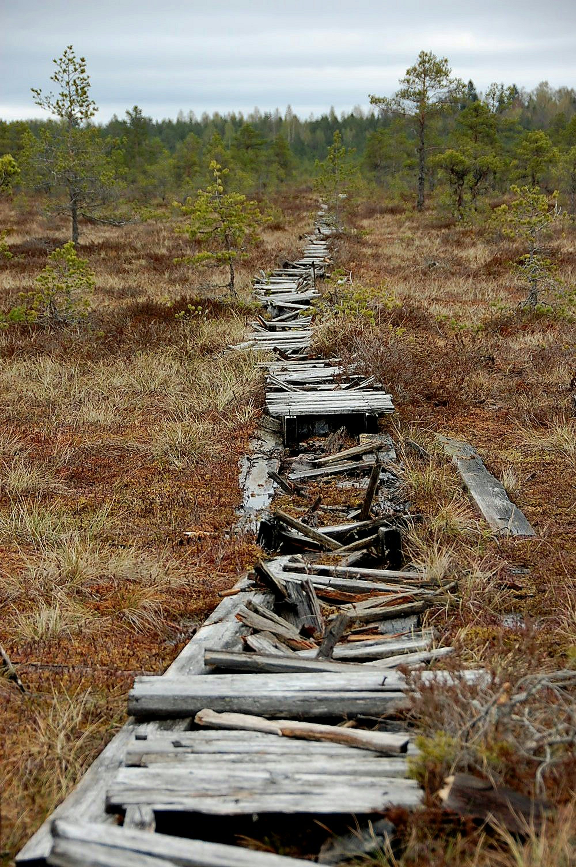 Maja R. (@majas) | Unsplashフォトコミュニティ