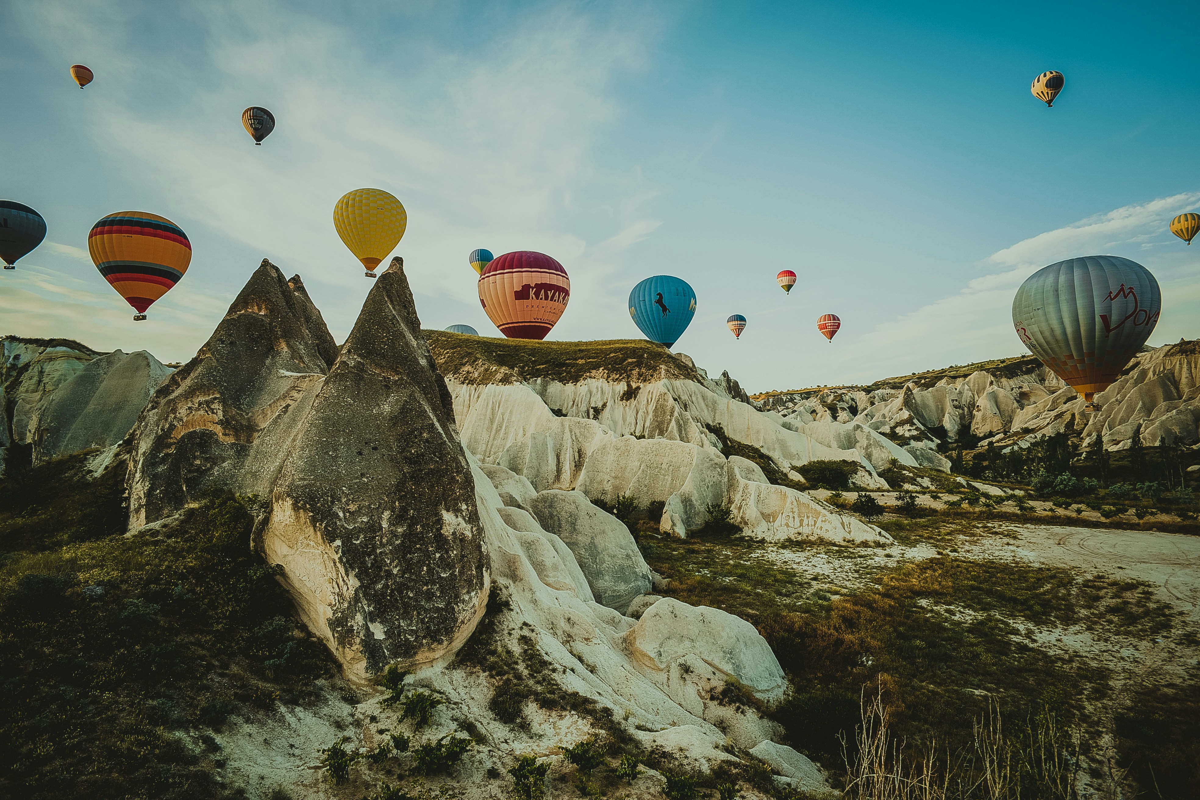 Cibi grassi come riconoscerli