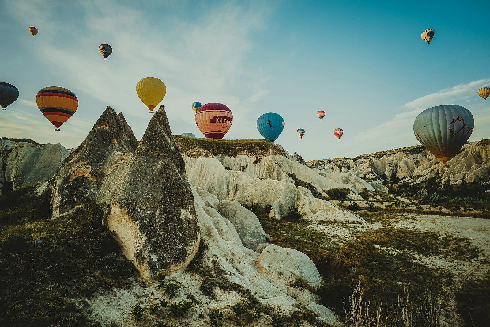 Sony a99 II + 20mm F2.8 sample photo. Assorted hot air balloon photography