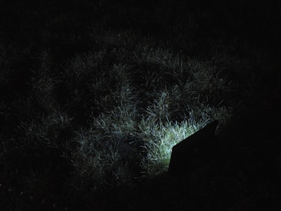 A patch of grass is dimly illuminated by a light source, creating a soft glow against the surrounding darkness. The grass blades are visible in detail, while the edges of the image fade into shadow.
