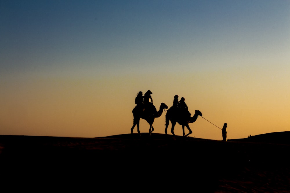 Silhouette von Menschen, die auf Kamelen reiten