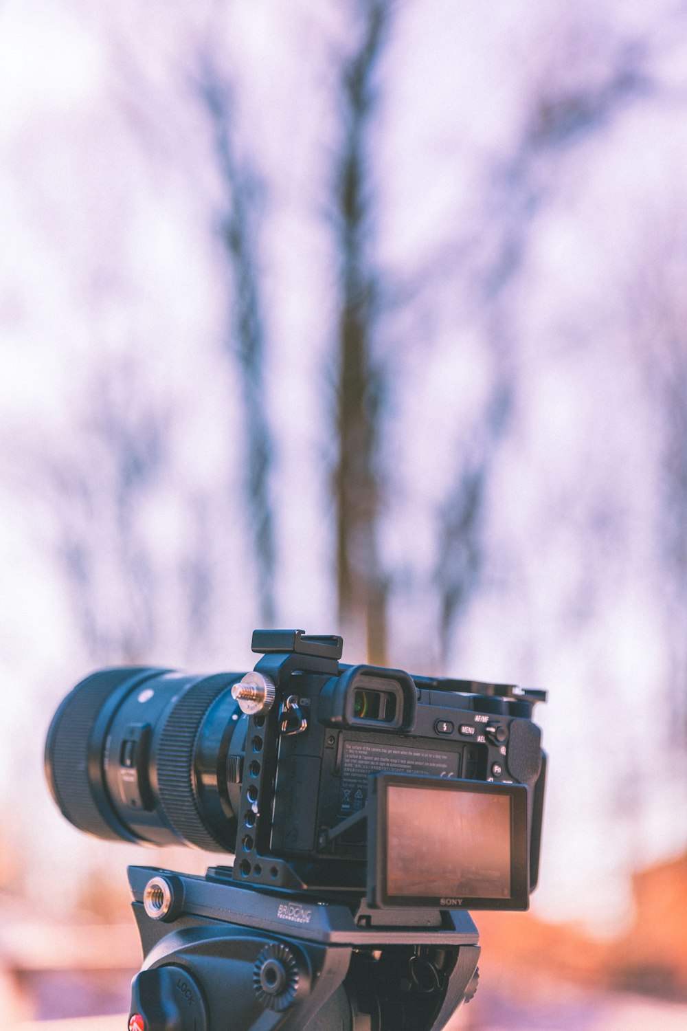 selective focus photography of black Sony DSLR camera turned on docked on tripod