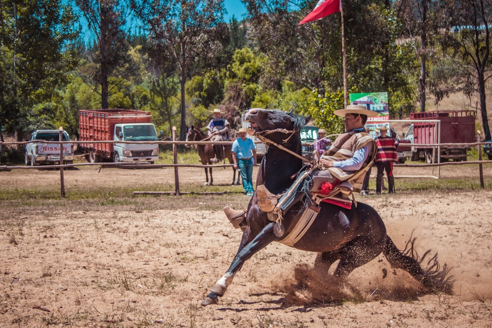 man riding horse