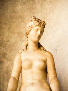 A classical marble statue of a woman with intricate braided hair and an expressionless face, posed against a textured stone background.