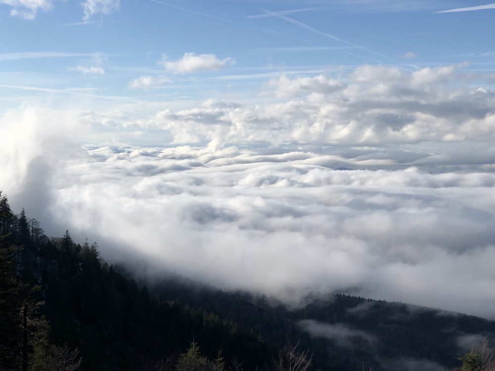 white clouds near trees during daytime