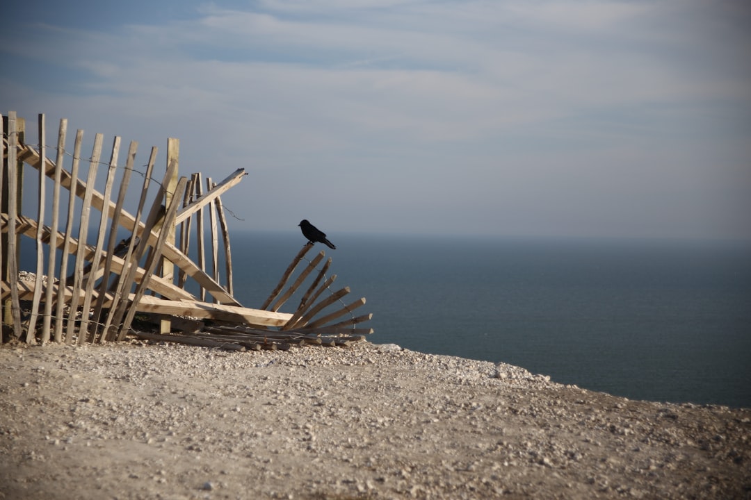 photo of Belle Tout Lighthouse Pier near Beachy Head Lighthouse