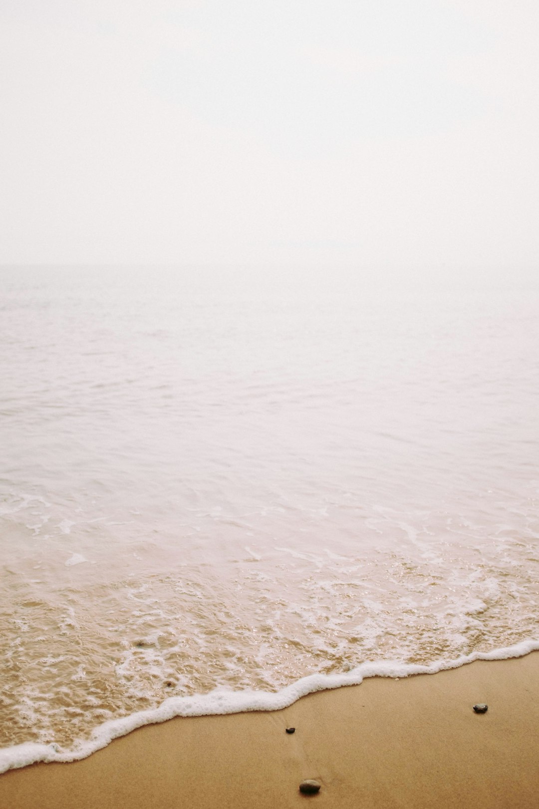 seashore with gray stones