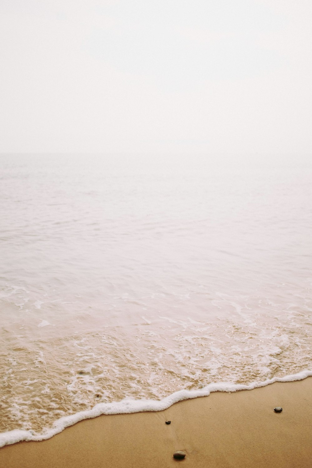 seashore with gray stones