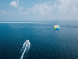 aerial photography of paragliding
