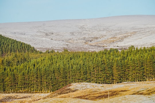 photo of Moy Tundra near The Devil's Point