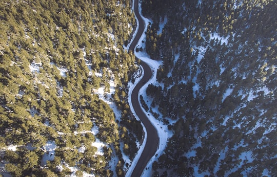 aerial view of road in between pine forest in Parnassos Greece