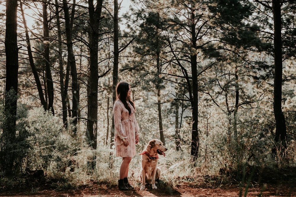 femme debout près d’un chien brun à l’ombre des arbres pendant la journée