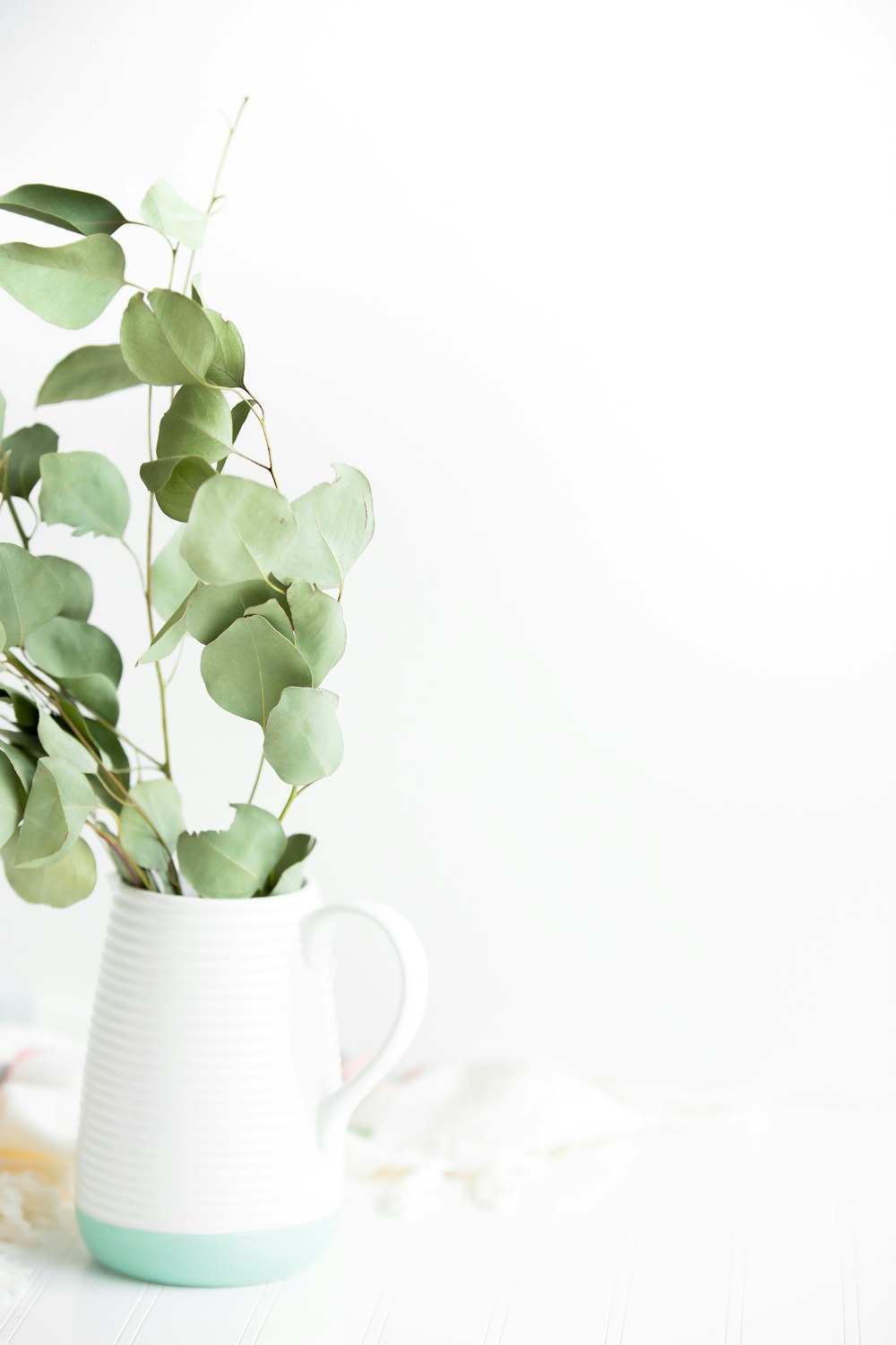 Plante verte en pot sur vase en céramique blanche