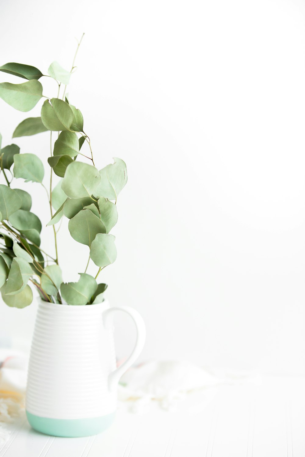 green plant potted on white ceramic vase