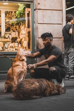 A person kneels on the street, affectionately petting a golden retriever that is sitting and looking content. In front of them lies another large, brindle-coated dog resting on the pavement. The scene takes place outside a storefront displaying various goods such as bottles and wooden items with some green foliage in the window.