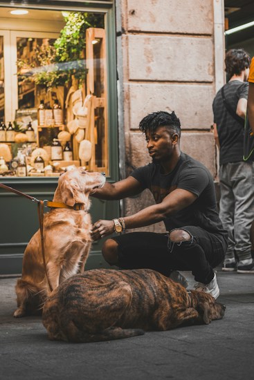 A person kneels on the street, affectionately petting a golden retriever that is sitting and looking content. In front of them lies another large, brindle-coated dog resting on the pavement. The scene takes place outside a storefront displaying various goods such as bottles and wooden items with some green foliage in the window.