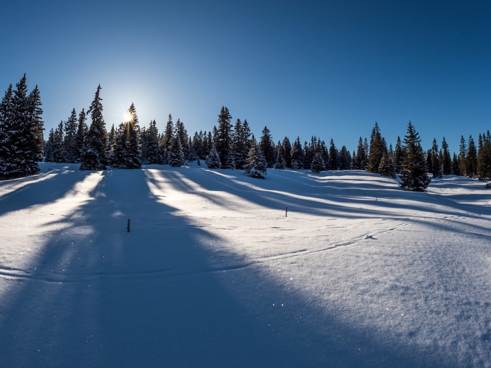 mountain coated with snow