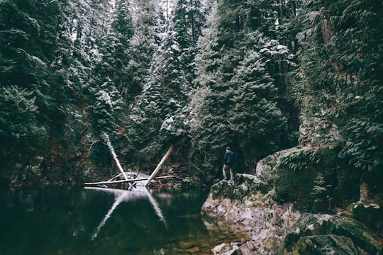 photo of North Vancouver Forest near Wreck Beach