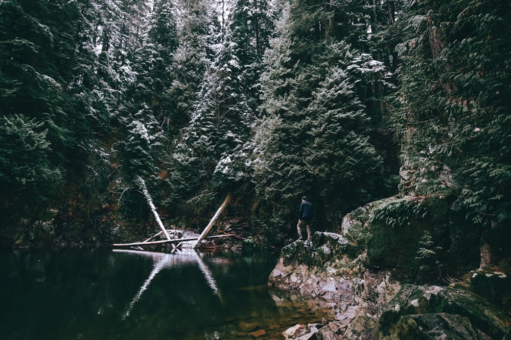 lake near green trees