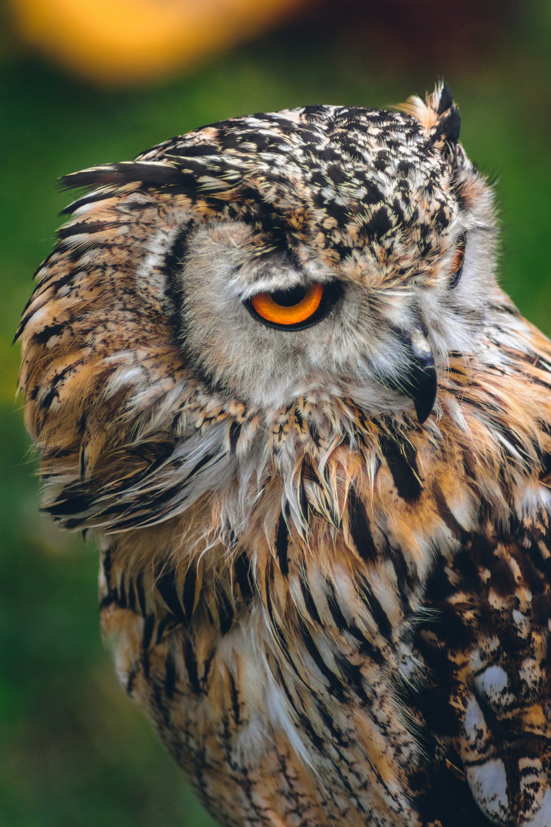 photo of Barakaldo Wildlife near Ganekogorta