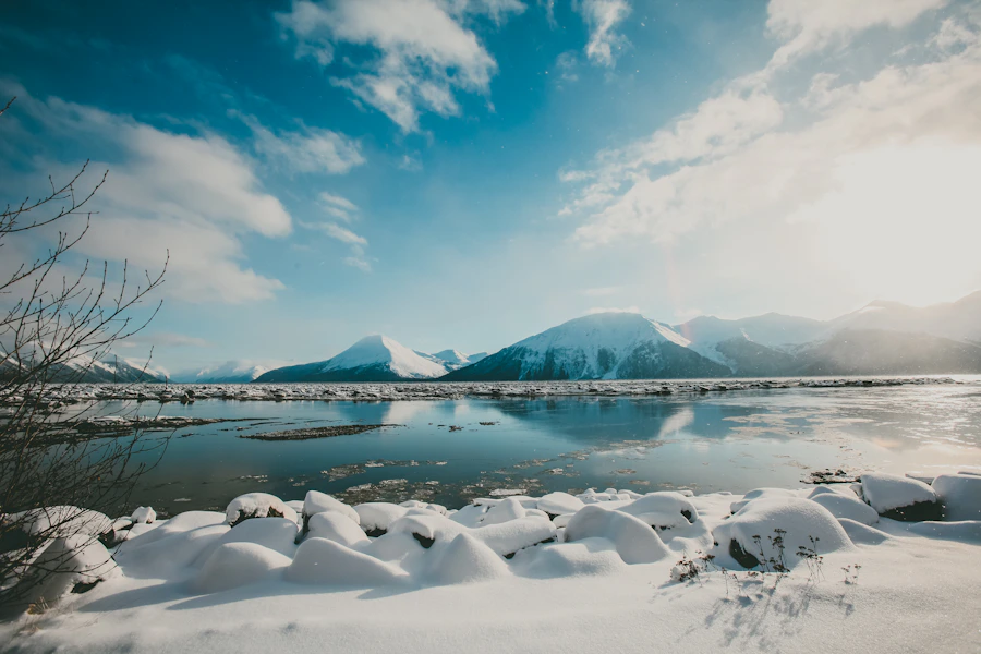 Paysage sauvage d'Alaska avec glacier, montagnes enneigées et forêt de conifères en été, destination fraîche août 2026