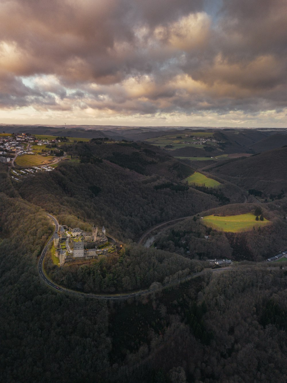 aerial view photography of castle surrounded by trees