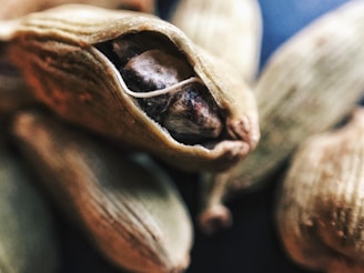 Close-up shot of green cardamom pods. One pod is cracked open, revealing the dark seeds inside. The texture of the pod's surface is rough, and the image is taken with a shallow depth of field, making the background blurry.