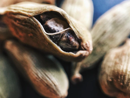 Close-up of fresh green cardamom pods resting on a rustic wooden surface with Kerala hills softly blurred in the background.